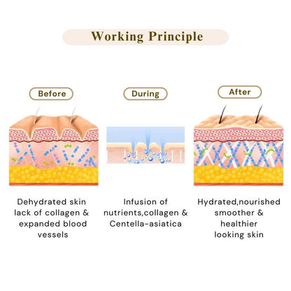 Castor Oil & Collagen Full